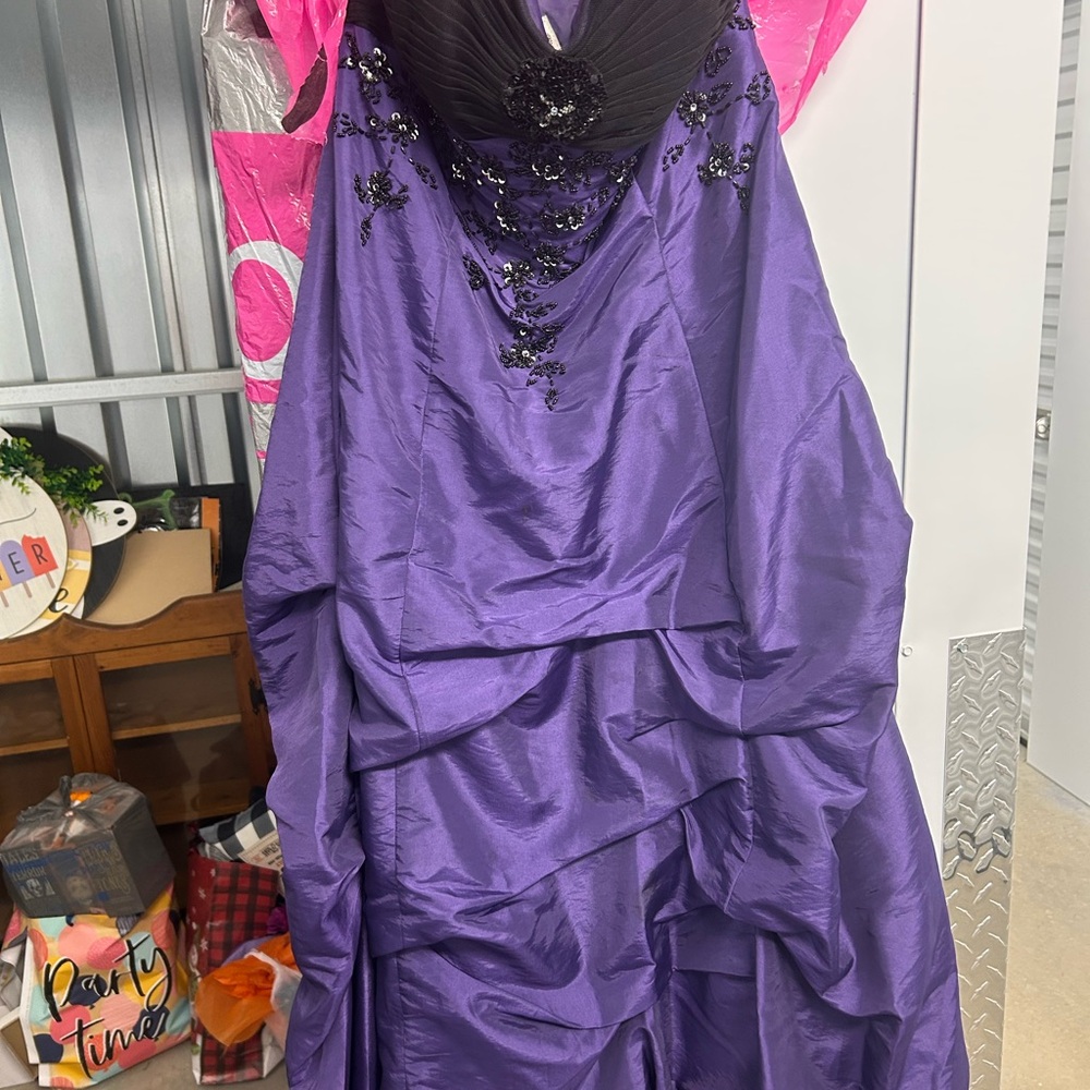 Deb Purple Dress with Black Details